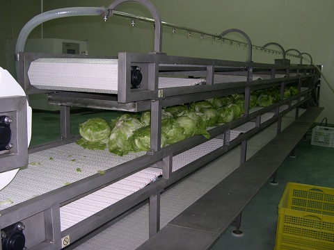 蔬菜网带输送机