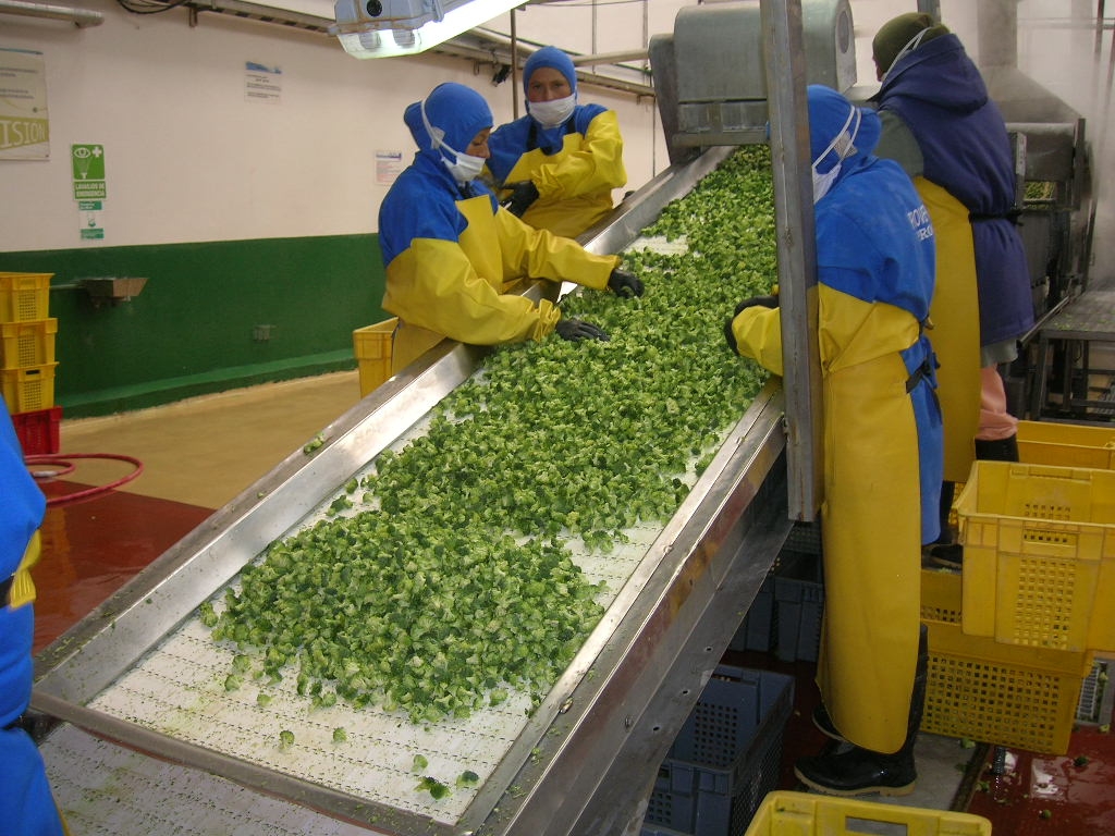 蔬菜分拣输送机上料装置原理及参数的选取