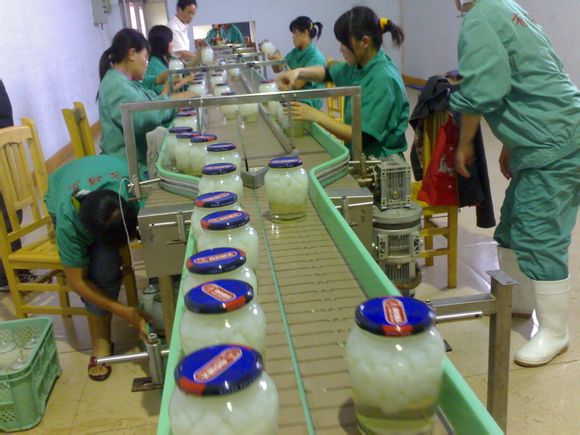 重视链板输送机使用过程中维护工作