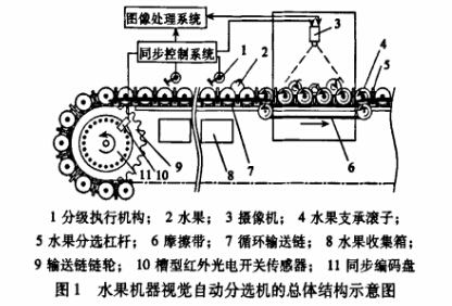 分拣输送机