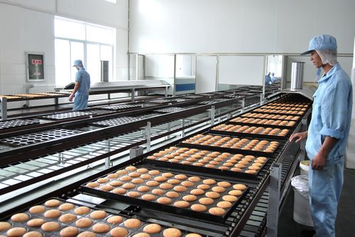 POM塑料轴承在食品滚筒输送设备中的功能