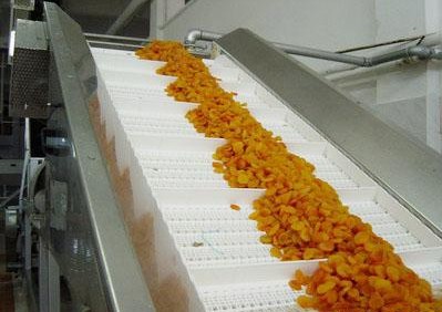 食品网带输送机