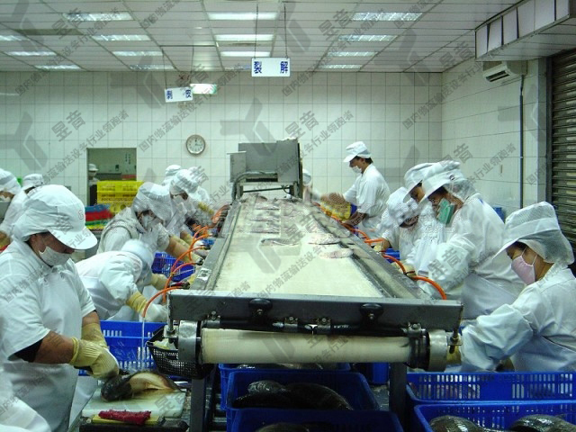 减少食品输送机零件损伤的概率